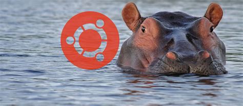 Ubuntu Hirsute Hippo New Features And Release Date