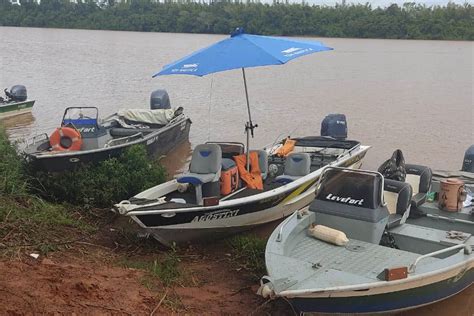 Projeto Rio Vivo atinge a marca de 1 76 milhão de peixes nativos soltos