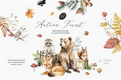 Autumn Forest Watercolor Illustrations on Behance