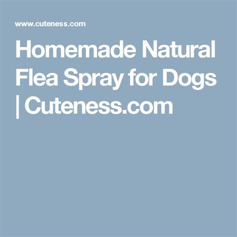 Homemade Natural Flea Spray for Dogs | Cuteness.com | Natural beauty ...