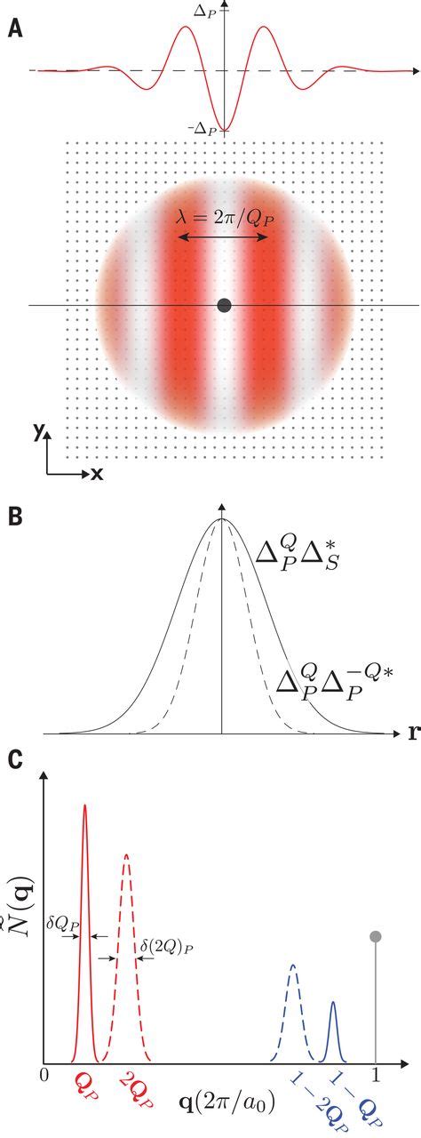 Magnetic Fieldinduced Pair Density Wave State In The Cuprate Vortex