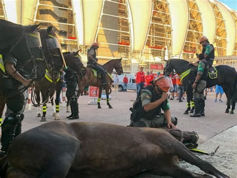 Policial Chora Ao Ver Seu Cavalo Morrer Ao Ter Mal S Bito No Beira Rio