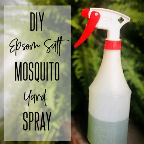 #1 Epsom Salt DIY Mosquito Yard Spray - Lost in Float