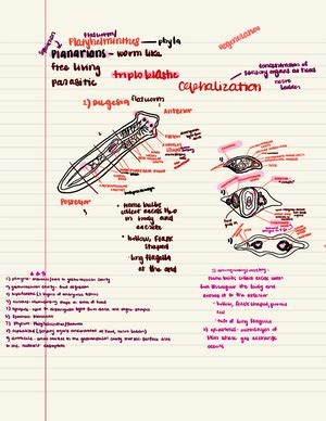 Biology 1404 Syllabus Syllabus BIOLOGY II For Life Science Majors