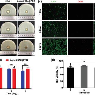 Biological Study Of Hydrogels In Vitro A B Antibacterial Sensitivity