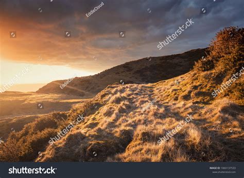 Clee Images Stock Photos Vectors Shutterstock