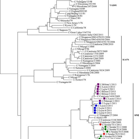 Phylogenetic Tree Of Influenza C Virus Hemagglutinin Esterase He