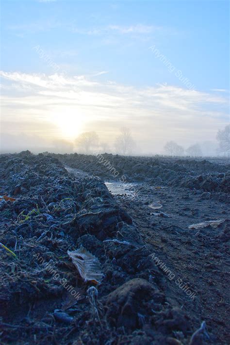 Ploughed Field In Frost By James Ellis AnythingSuffolk A Range Of