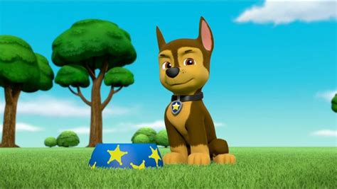 Mission Paw Quest For The Crown Gallery Paw Patrol Wiki Fandom