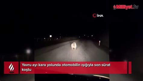 Yavru Ay Kara Yolunda Otomobilin Yla Son S Rat Ko Tu