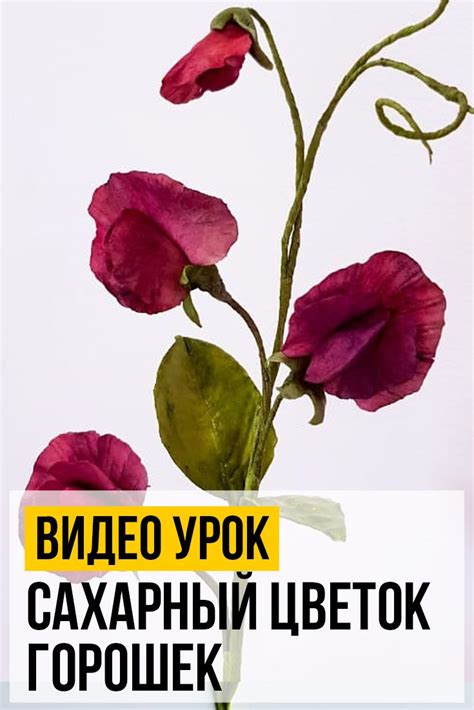 Сахарный Цветок Горошек | Сахарные цветы, Цветок, Цветы из сахарной мастики