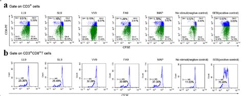 Representative Cfse Staining Of Cd T Cell Proliferation Stimulated