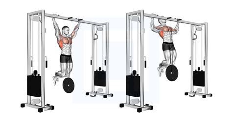 Barbell Pullover Guide Benefits And Form