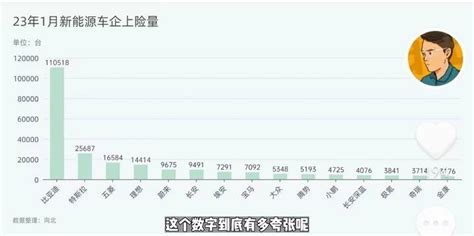 网传1月车企上险量骤降！比亚迪11万居首、特斯拉25万次之搜狐汽车搜狐网