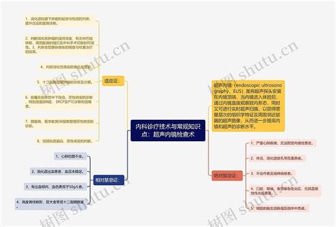 内科诊疗技术与常规知识点：超声内镜检查术思维导图编号p7446484 Treemind树图