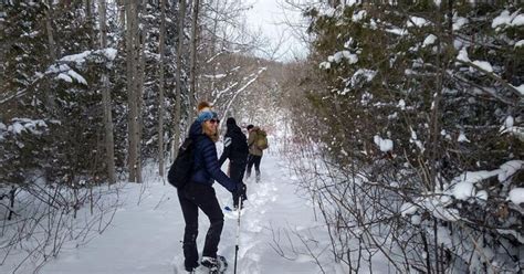 Privat Nottawasaga Bluffs Caves Snowshoe Creemore Collingwd GetYourGuide