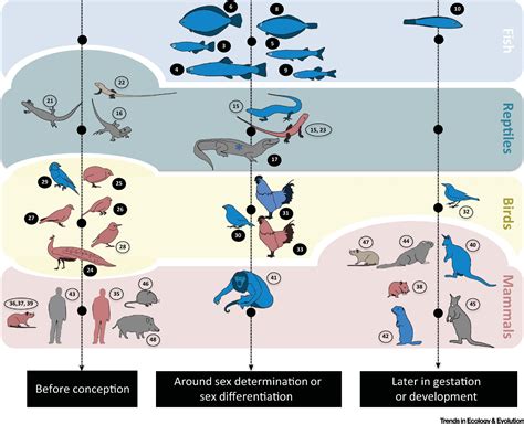 The Adaptive Sex In Stressful Environments Trends In Ecology And Evolution