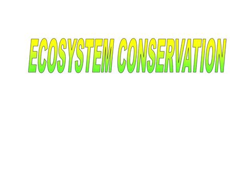 Ppt Ecosystem Conservation Powerpoint Presentation Free Download