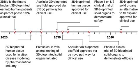 3D Bioprinted Human Tissue And The Path Toward Clinical Translation