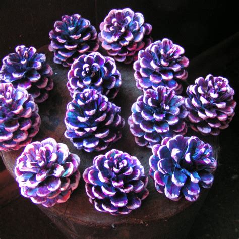 Painted Pine Cone Etsy