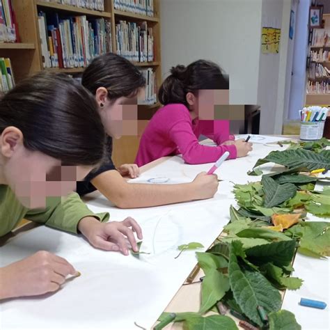 Comune Di Quartu Sant Elena In Biblioteca Laboratori Sulla Pizza