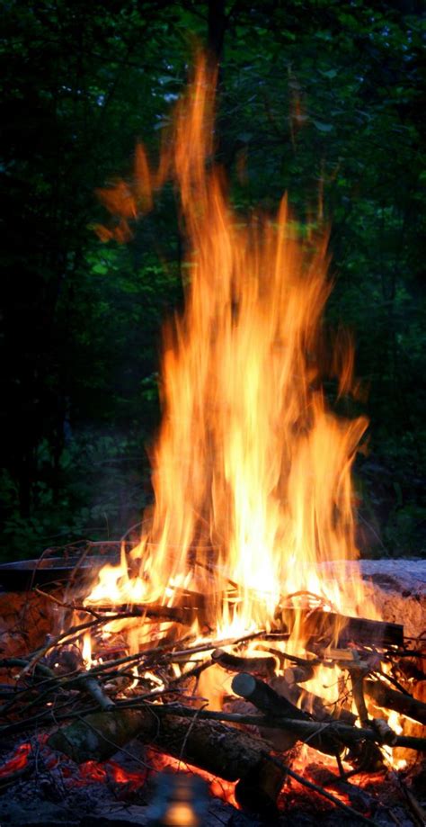 Free Images Night Orange Red Glow Darkness Campfire Close