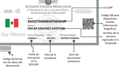 Actualiza tu CURP en IMSS PASOS RÁPIDOS para corregir datos personales