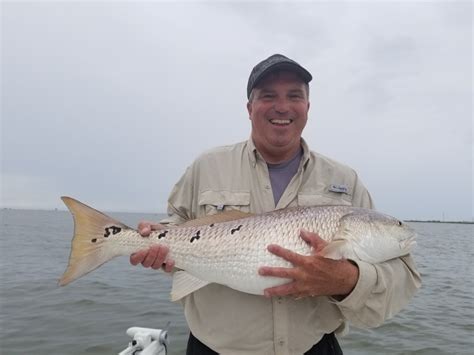 Louisiana Redfish Photos Jason Catchings Outdoors