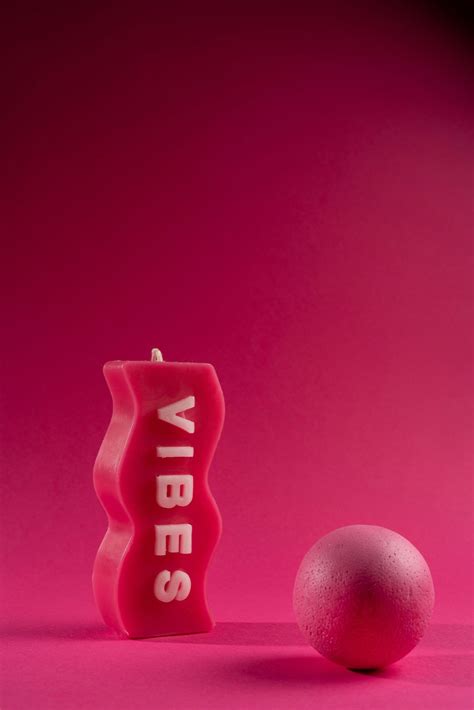 camilla araujo twitter 12