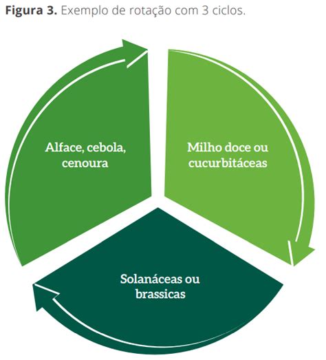 Importância da rotação de culturas