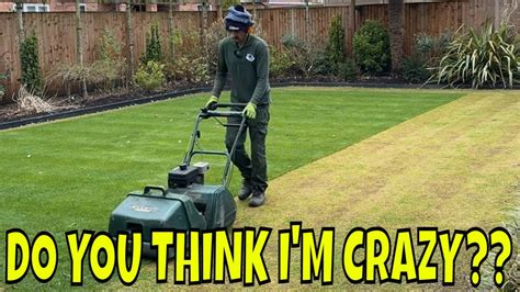 Renovate Your Lawn Following These Easy Steps Youtube