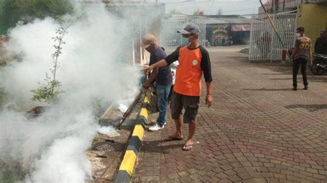 Hingga Juli Terdapat Kasus Dbd Di Kabupaten Serang Orang