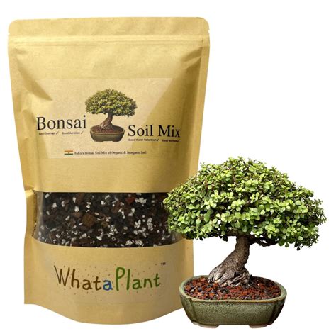 WhataPlant Bonsai Soil Mix Blend Of Lava Rock Pumice Expanded Clay