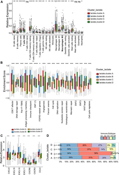 Correlations Of Immune Cells Infiltrations Into The Tme Of The Four