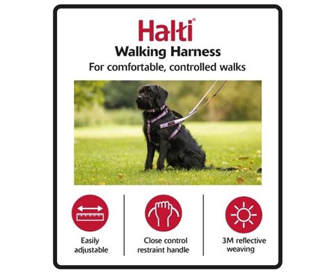 Halti Dog Walking Harness Company Of Animals Uk