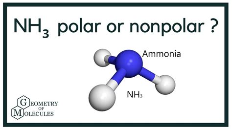 Is Nh3 Polar Or Nonpolar Ammonia Youtube