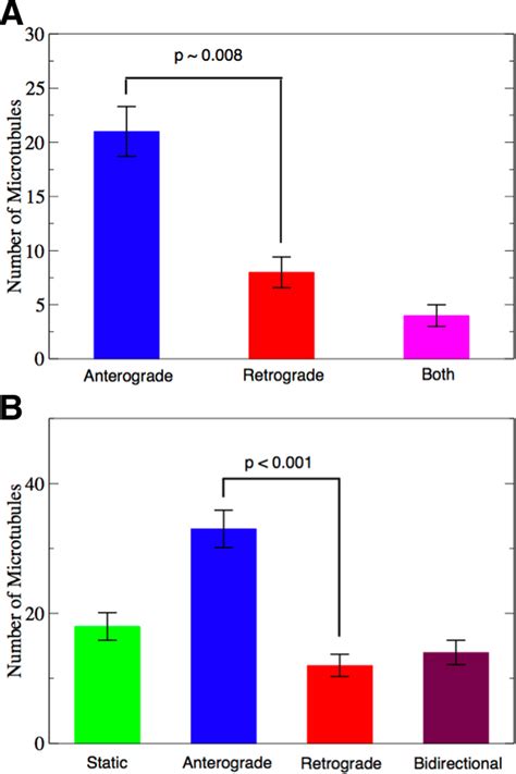 Microtubule bending mechanisms and transport direction. (A) Histogram ...