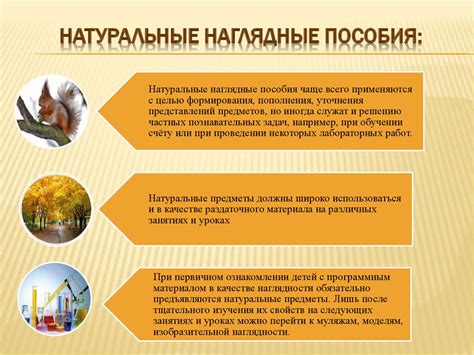 Средства наглядности. Восприятие их слепыми детьми - презентация онлайн