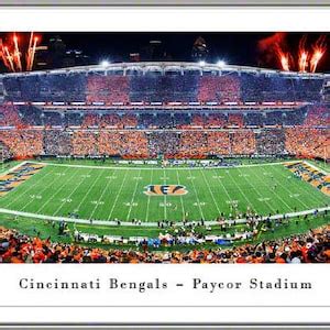 Cincinnati Bengals Paycor Stadium Framed Panorama stripe the Jungle ...