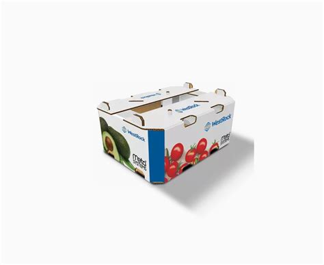 Fruit And Vegetable Boxes Canpak Ambalaj Canpak Packaging High