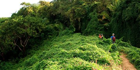 Mexico Jungle Mountains