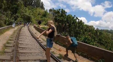 Abejas Gigantes Atacan Inesperadamente A Turistas Su Video Se Hace