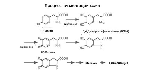 Teana Laboratories