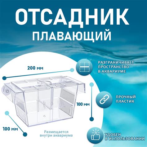 Отсадник для Аквариума – купить в интернет-магазине OZON по низкой цене
