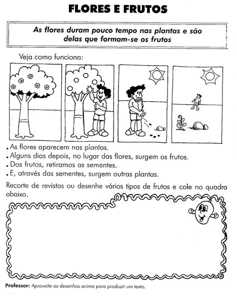 Atividades Sobre As Partes Das Plantas 2 Ano