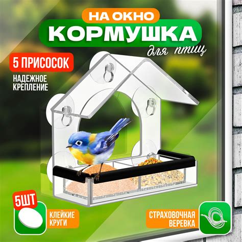 Кормушка для Птиц Уличная купить на OZON по низкой цене
