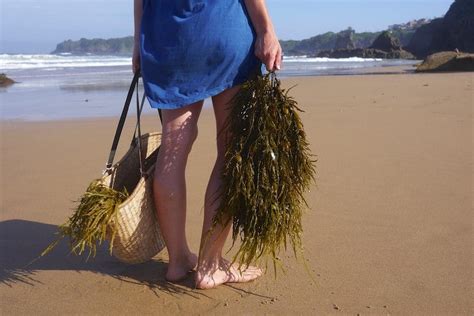 Making Seaweed Fertilizer: with added Nettles, Comfrey and Borage