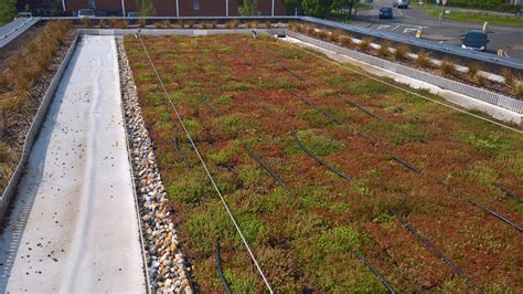 Green Roof Irrigation Associated Benefits And Techniques Wallbarn