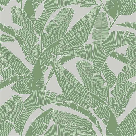 Papier Peint Feuilles De Bananier Gris Et Vert