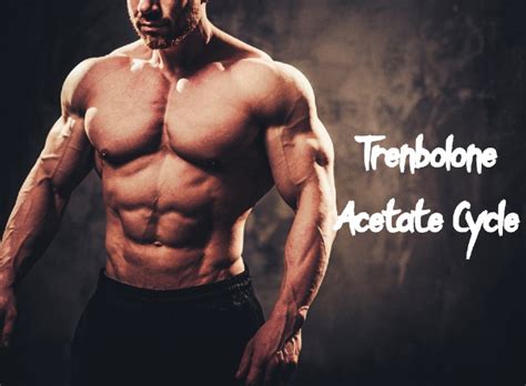 Trenbolone Acetate Cycle The Game Changing Compound